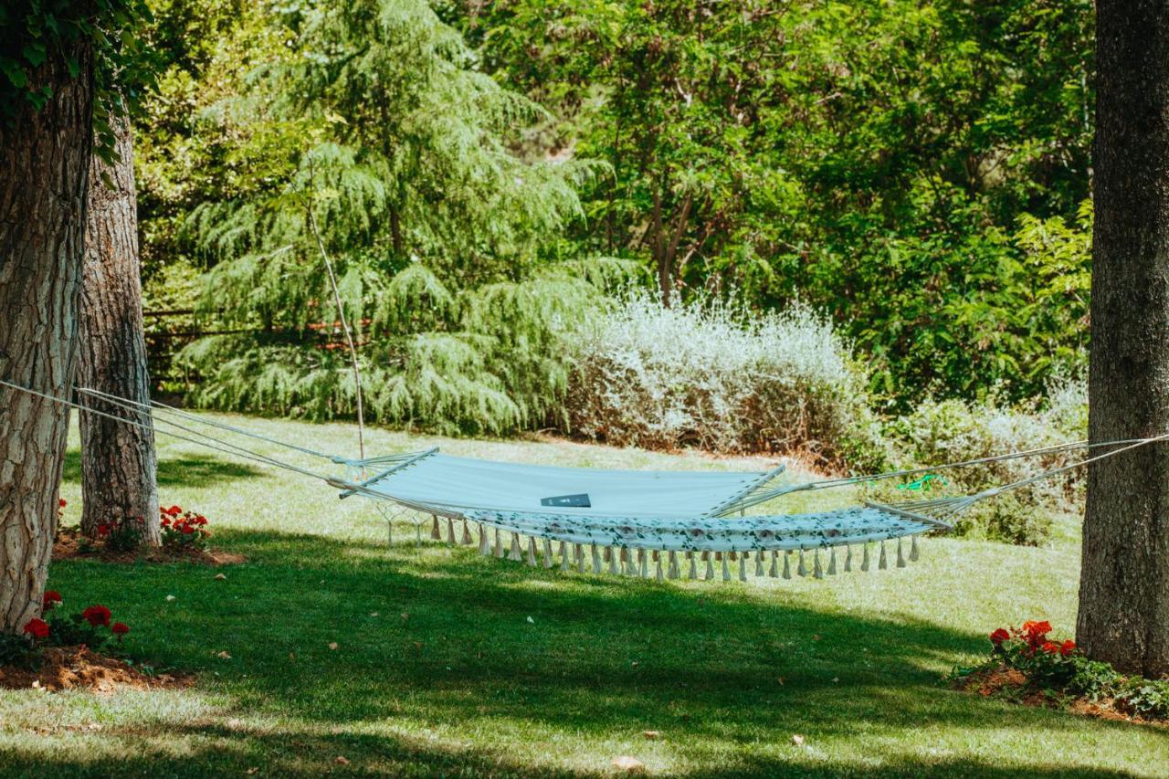 Beautiful Summerhouse In Sani'S Pine Forest Száni-part Kültér fotó